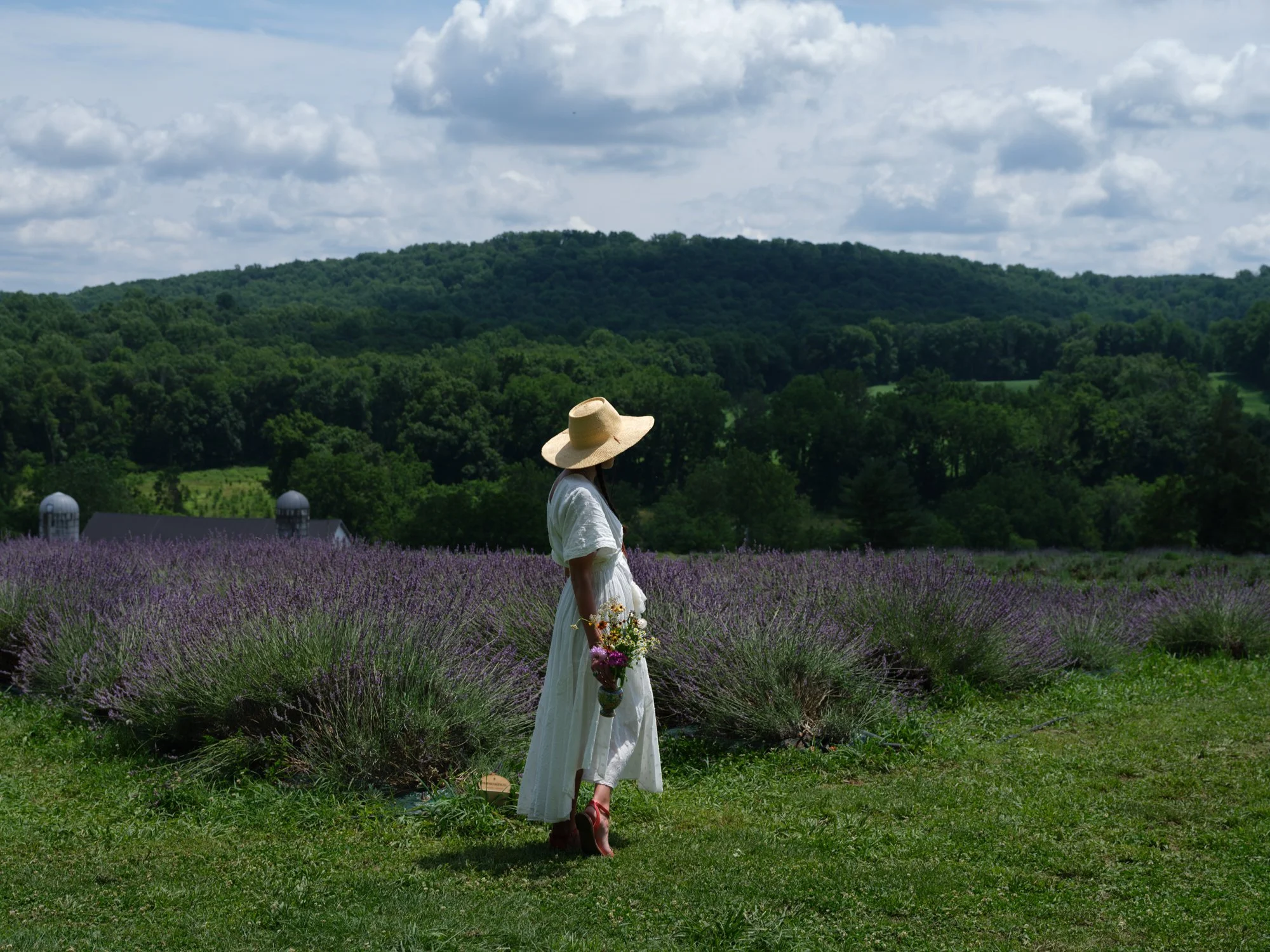 ウォールフラワー VISIT THE FARM — WARWICK FURNACE FARM